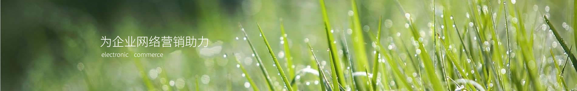 лʯ޹˾